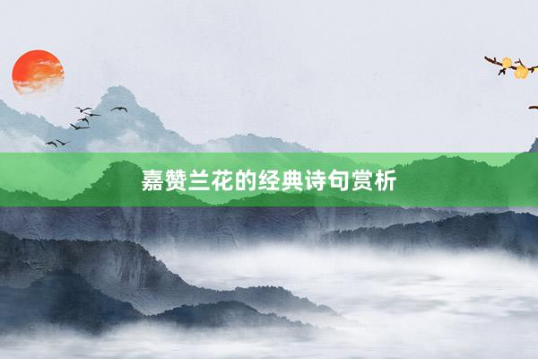 嘉赞兰花的经典诗句赏析