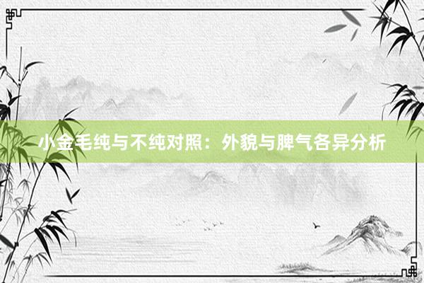 小金毛纯与不纯对照：外貌与脾气各异分析